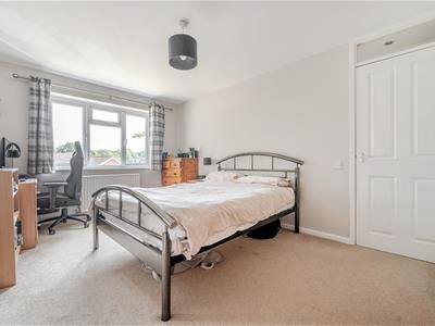 Picture 12